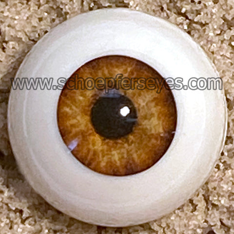 Hazel Eye Schoepfers