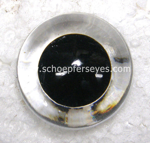Glass Eyes Schoepfer Eyes for Dolls and Decoy Carving Bird Eyes