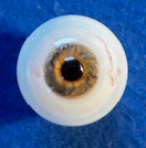 www.schoeferseyes.com
