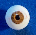 Artificial eye with brown iris on a blue background