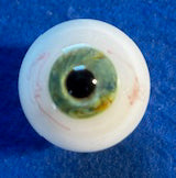 www.schoeferseyes.com