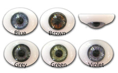 Glass Eyes Schoepfer Eyes for Dolls and Decoy Carving Bird Eyes