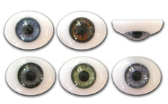 Glass Eyes Schoepfer Eyes for Dolls and Decoy Carving Bird Eyes